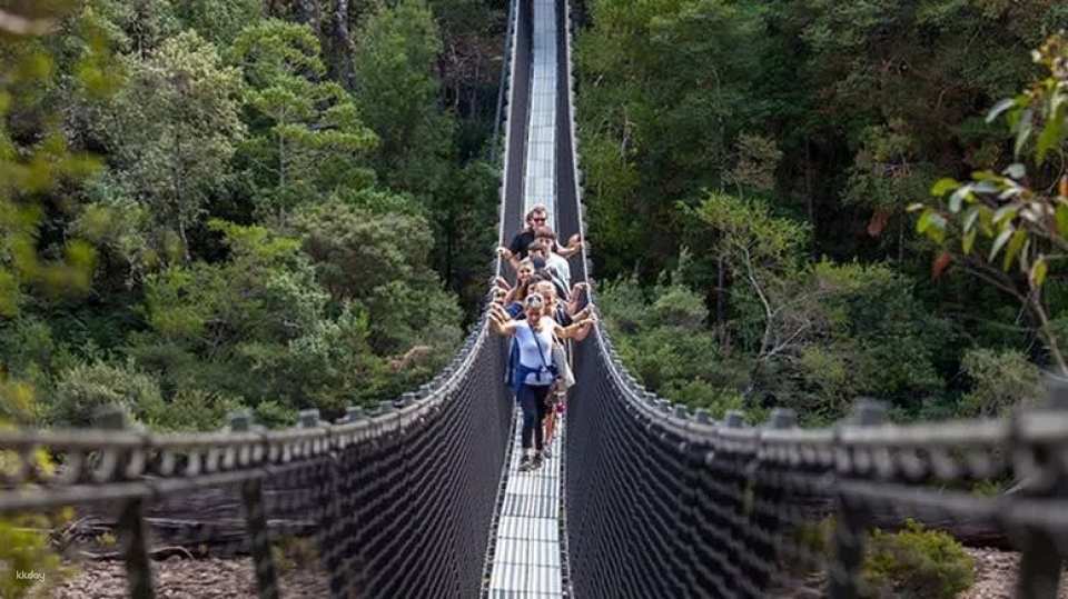 Tahune AirWalk General Entry | Tasmania