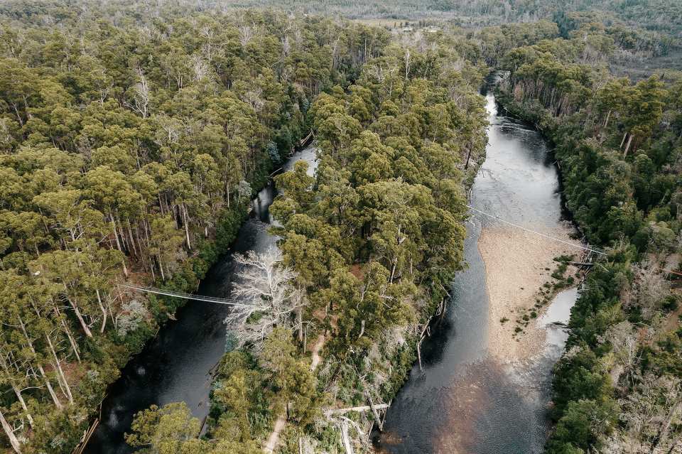Tahune AirWalk General Entry | Tasmania