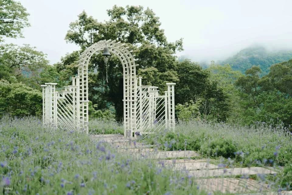 Taichung Lavender Forest Ticket