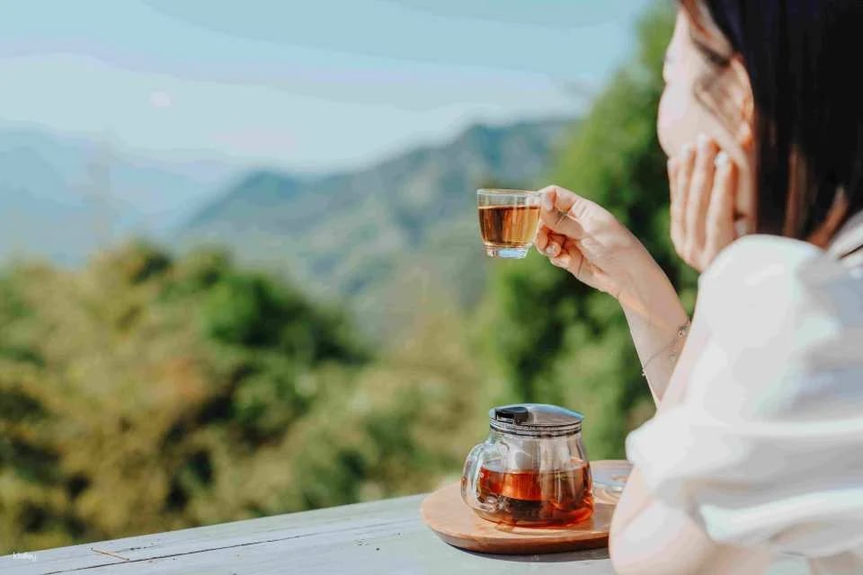 Taichung Lavender Forest Ticket