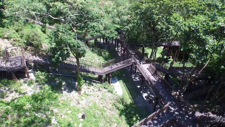 Taitung Zhiben National Forest Recreation Area Tickets