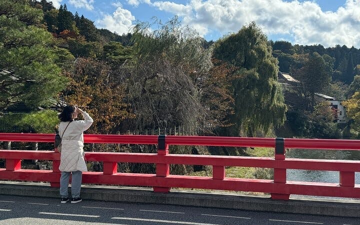Takayama Jinya and Old Town Private Walking Tour with Sake Tasting and Admission Image 4