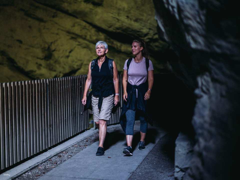 Tamina Gorge and Altes Bad Pfäfers public guided tour