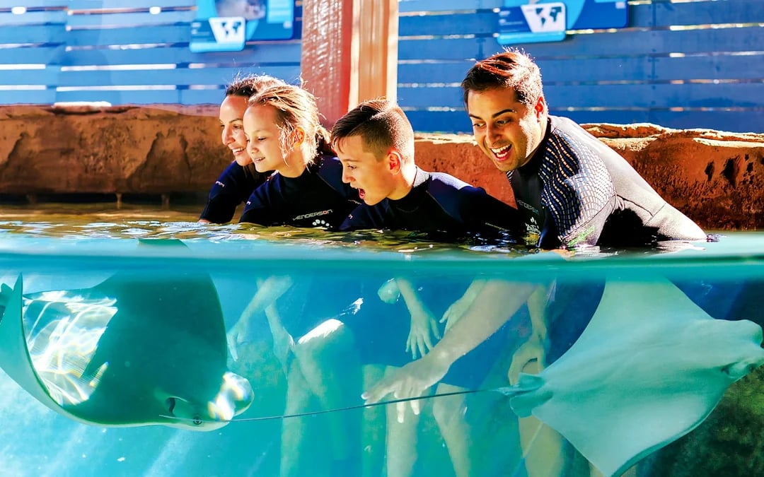 Tampa: ZooTampa & The Florida Aquarium Combo Tickets Image 2