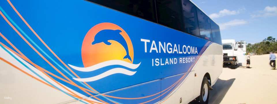 Tangalooma Desert Safari Day Cruise with Bus Transfers from Gold Coast