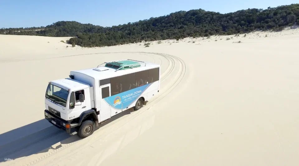 Tangalooma Desert Safari Day Cruise with Bus Transfers from Gold Coast