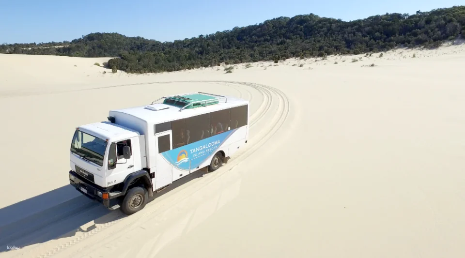 Tangalooma Desert Safari Day Cruise with Bus Transfers from Gold Coast
