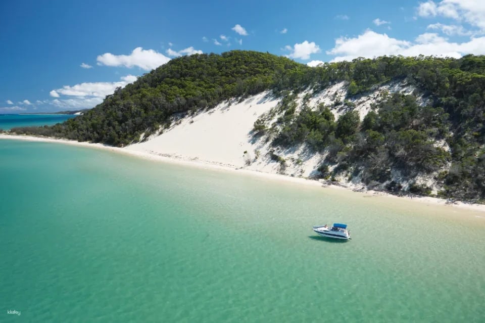 Tangalooma Desert Safari Day Cruise with Bus Transfers from Gold Coast