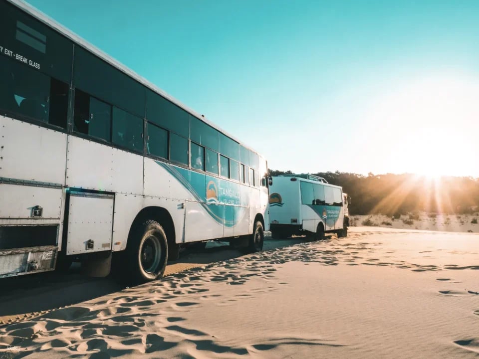 Tangalooma Desert Safari Day Cruise with Bus Transfers from Gold Coast