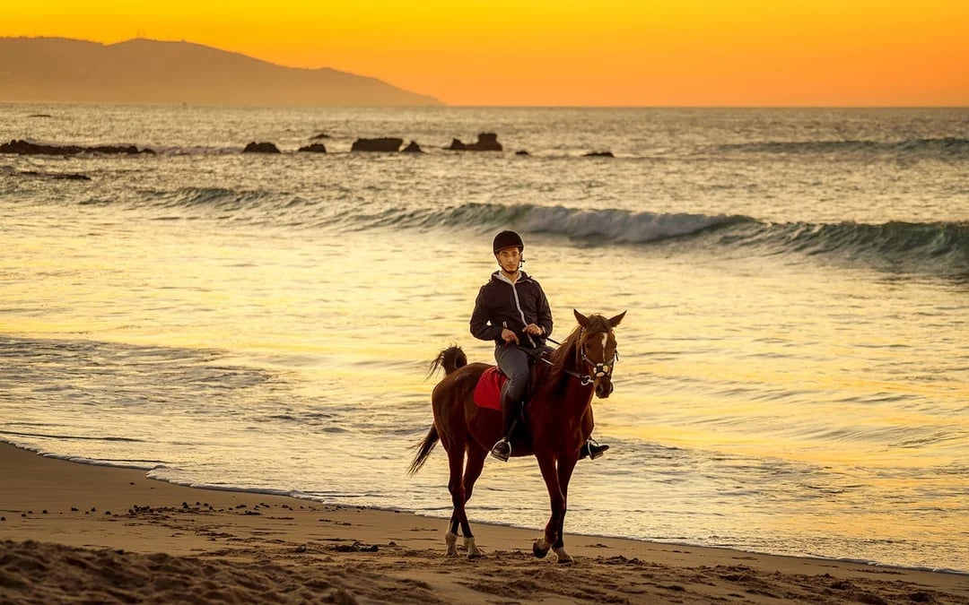 Tangier Guided Horseback Ride on Mountain and Coastal Trails in Mnar Region Image 1