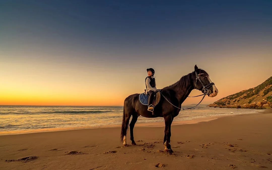 Tangier Guided Horseback Ride on Mountain and Coastal Trails in Mnar Region Image 2
