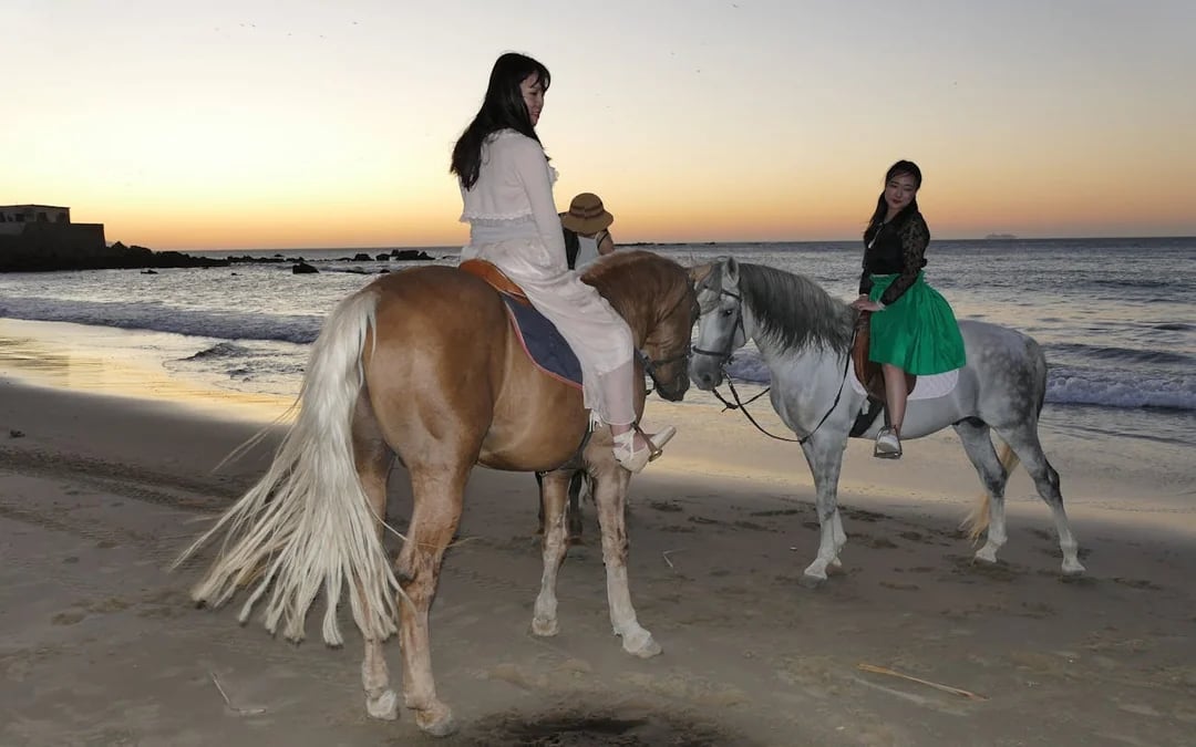 Tangier Guided Horseback Ride on Mountain and Coastal Trails in Mnar Region Image 3