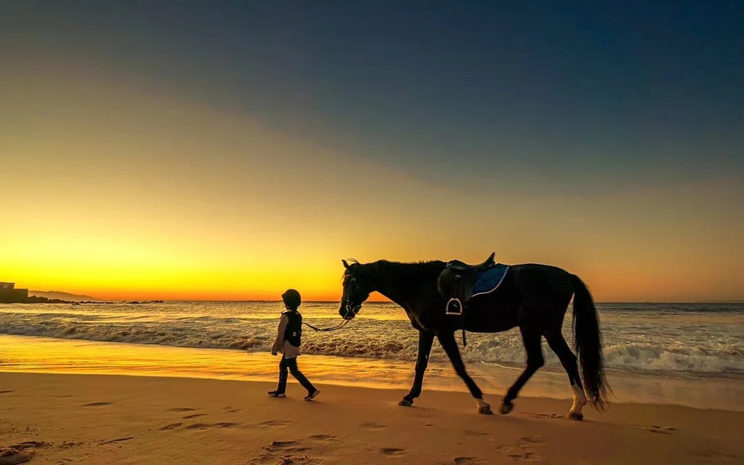 Tangier Guided Horseback Ride on Mountain and Coastal Trails in Mnar Region Image 4