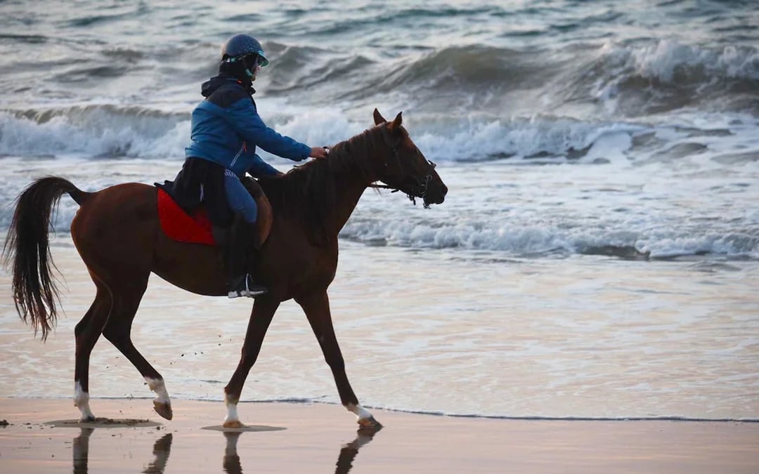 Tangier Guided Horseback Ride on Mountain and Coastal Trails in Mnar Region Image 5