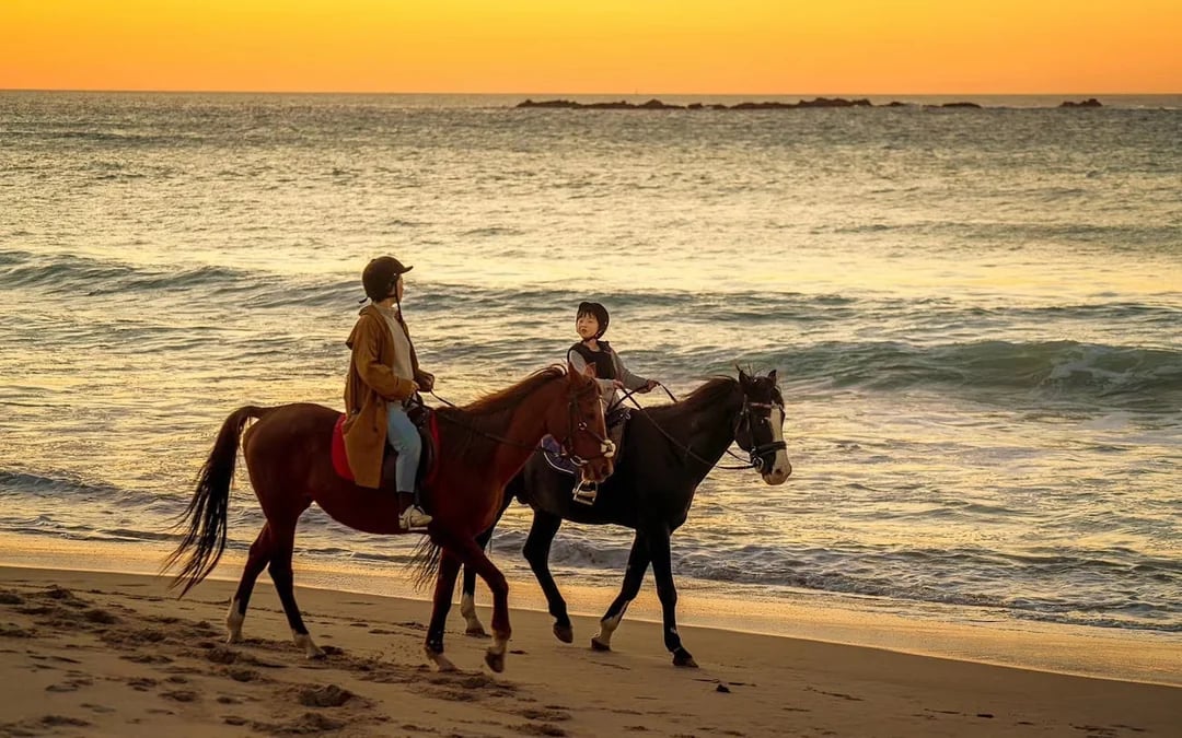 Tangier Guided Horseback Ride on Mountain and Coastal Trails in Mnar Region Image 6