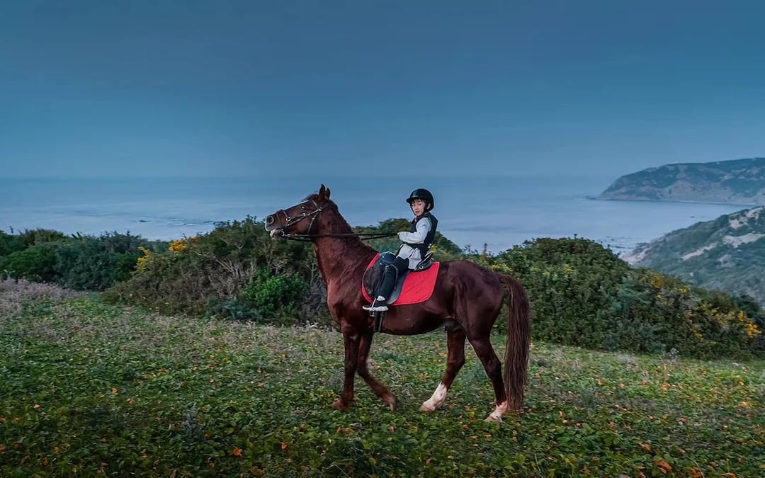 Tangier Guided Horseback Ride on Mountain and Coastal Trails in Mnar Region Image 7