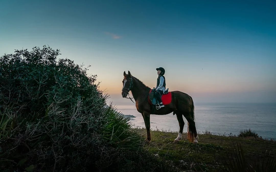 Tangier Guided Horseback Ride on Mountain and Coastal Trails in Mnar Region Image 8