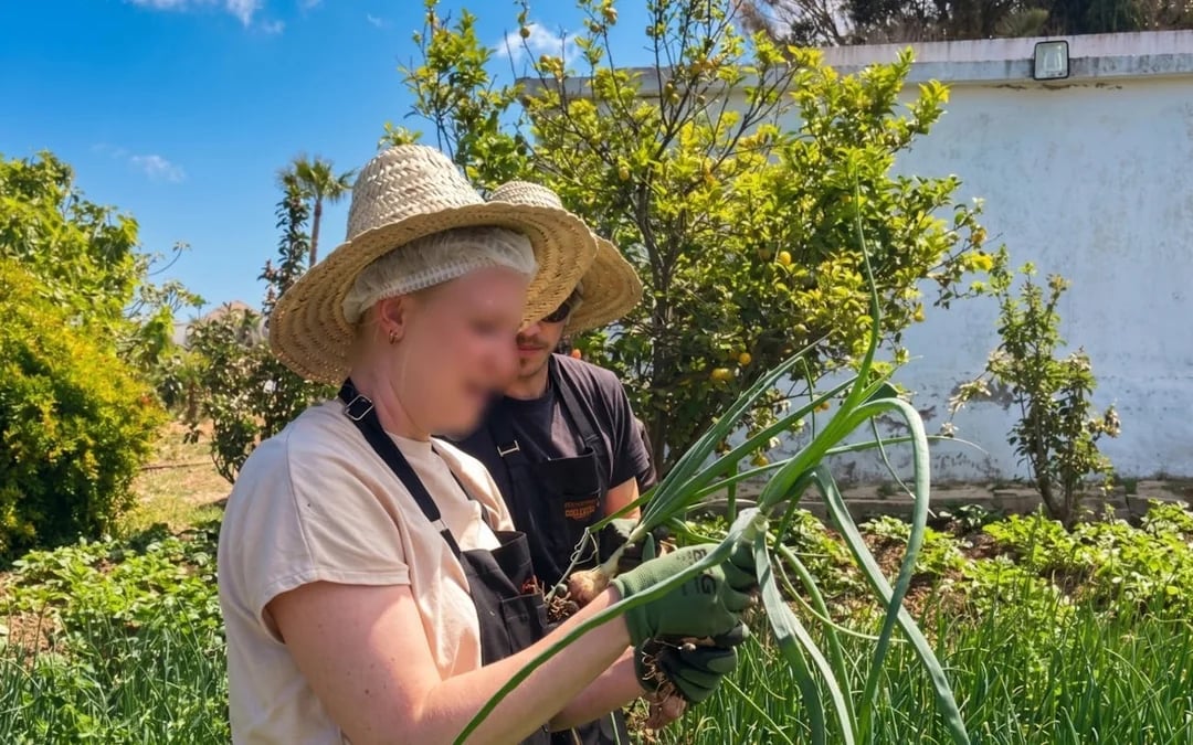 Tangier Moroccan Cooking Class on Organic Farm with Ingredient Harvesting and Lunch Image 2