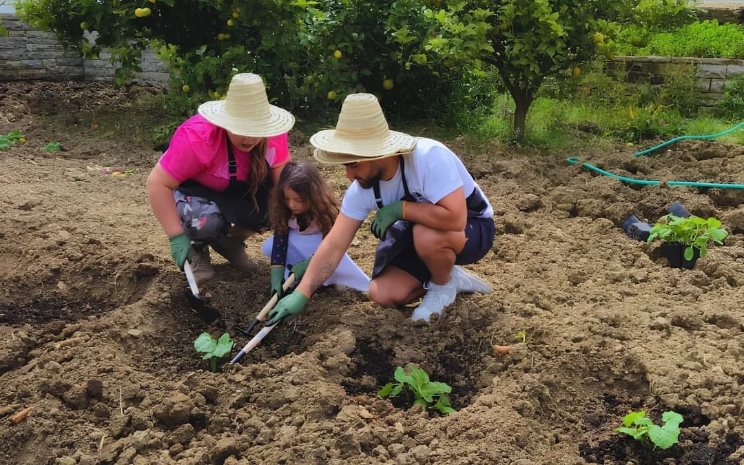 Tangier Moroccan Cooking Class on Organic Farm with Ingredient Harvesting and Lunch Image 4