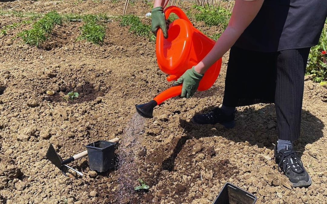 Tangier Moroccan Cooking Class on Organic Farm with Ingredient Harvesting and Lunch Image 6