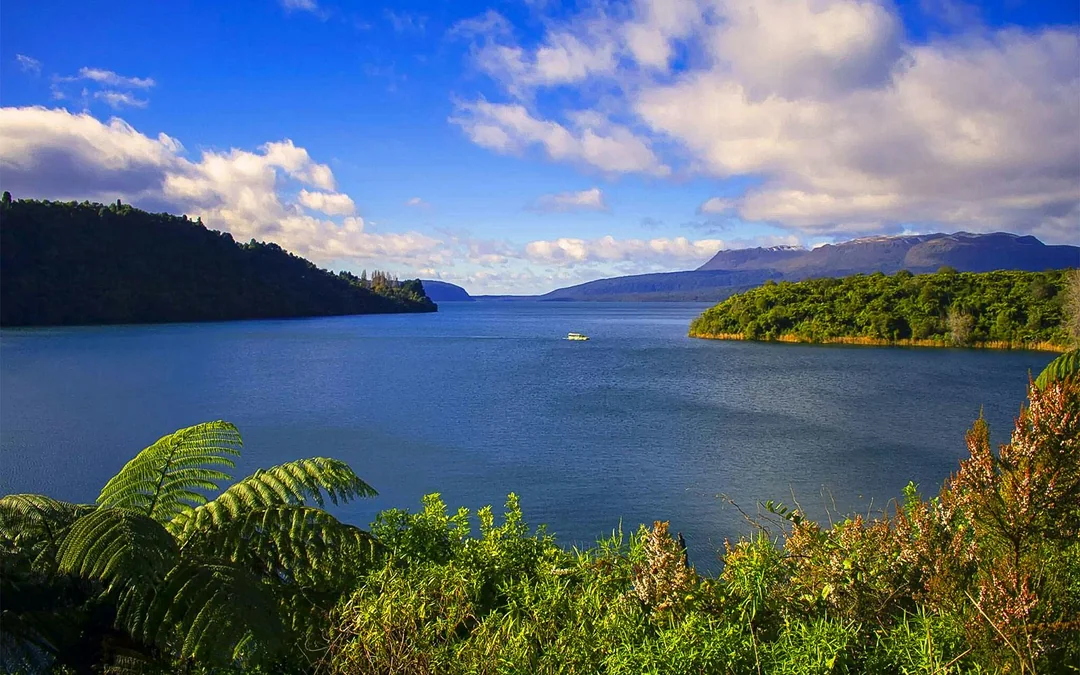 Tarawera & Lakes Eco Tour Image 3