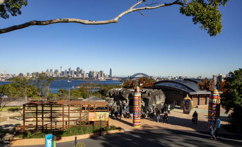 Taronga Zoo Sydney Ticket | Australia