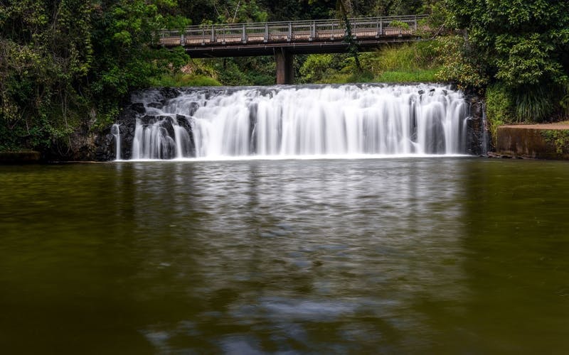 TASTE OF THE TABLELANDS Image 2
