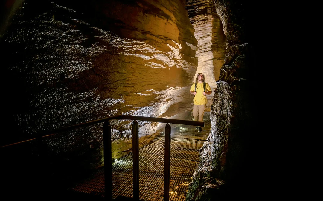 Te Anau Glowworm Caves Guided Tour Image 2