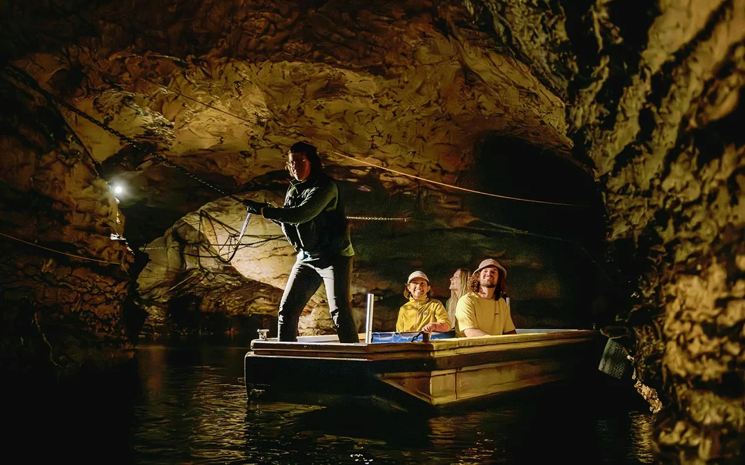 Te Anau Glowworm Caves Guided Tour Image 3