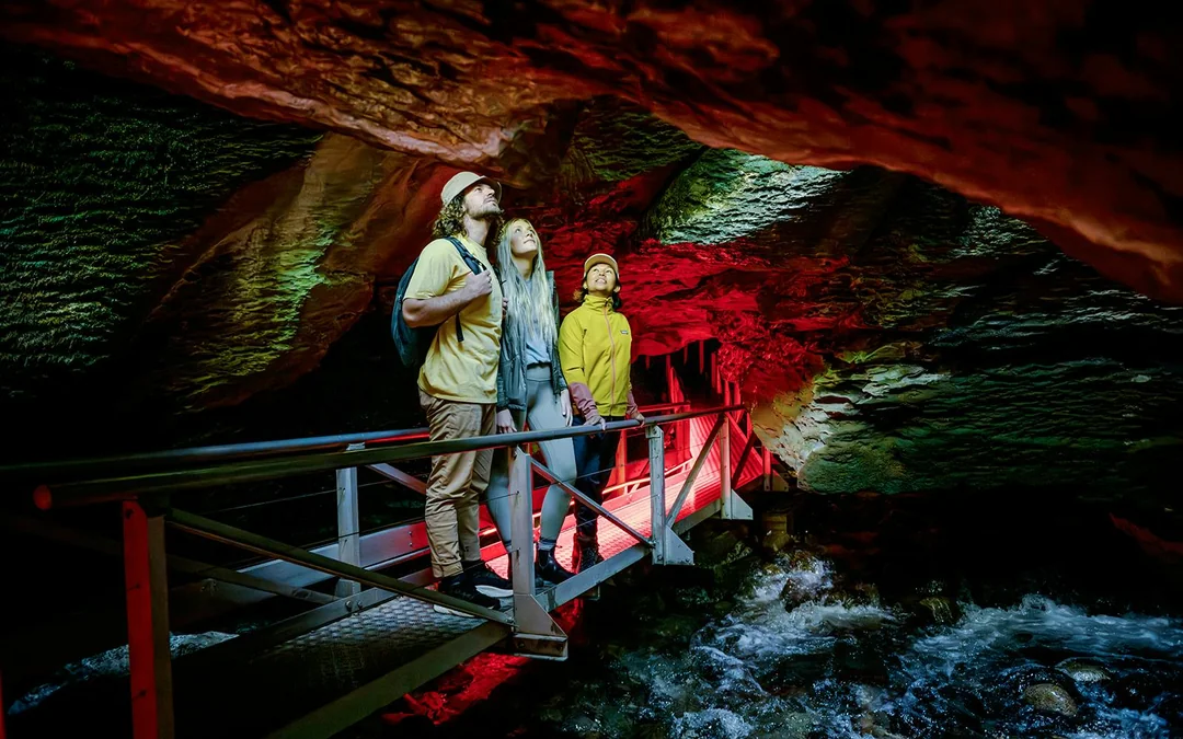 Te Anau Glowworm Caves Guided Tour Image 4