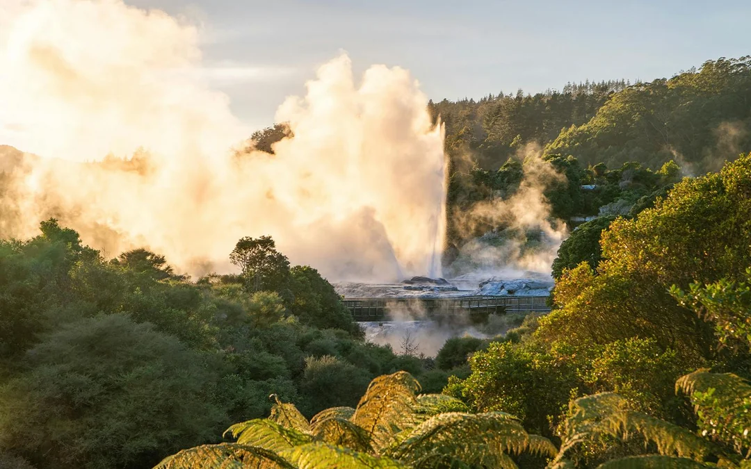 Te Puia: Te Pō Combo with Guided Tour, Cultural Performance & Hangi Buffet Dinner Image 1