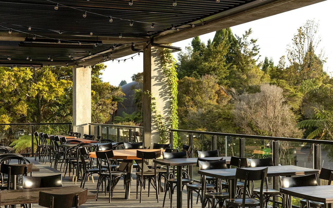 Te Puia: Te Pō Combo with Guided Tour, Cultural Performance & Hangi Buffet Dinner Image 12