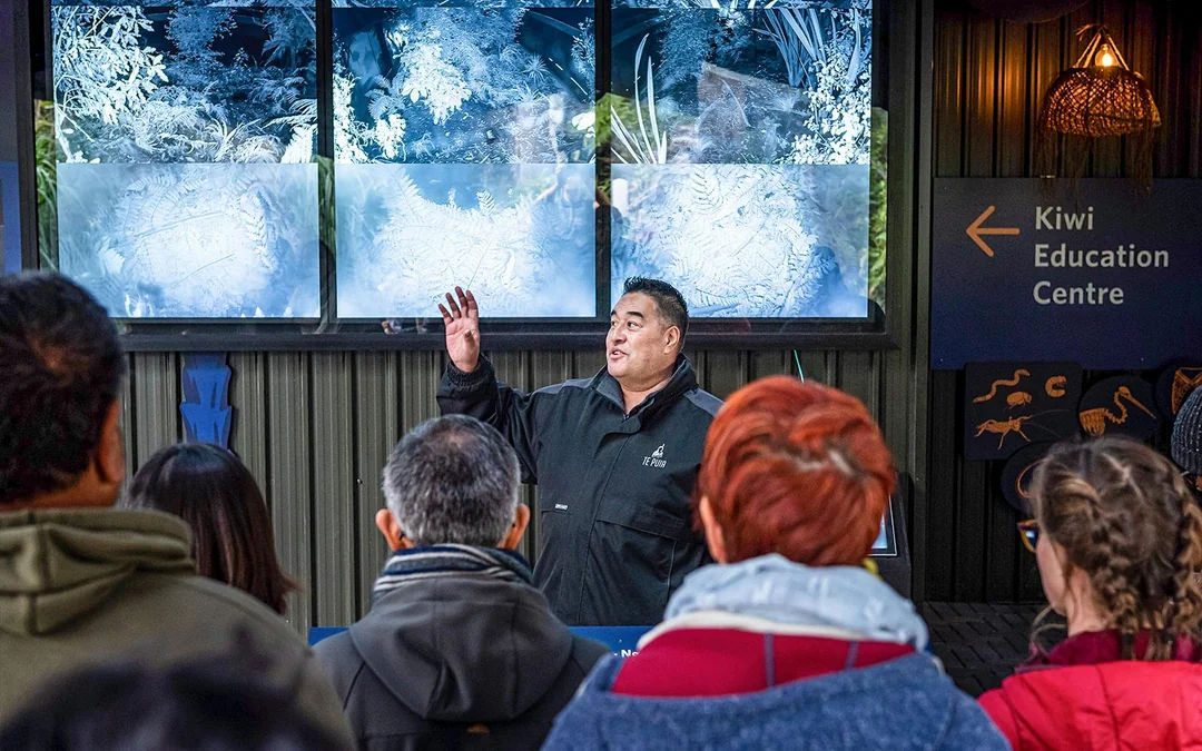 Te Puia: Te Pō Combo with Guided Tour, Cultural Performance & Hangi Buffet Dinner Image 4