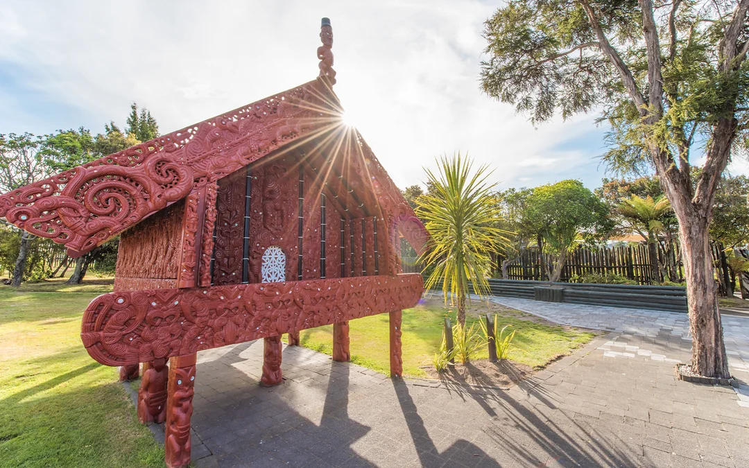 Te Puia: Te Pō Combo with Guided Tour, Cultural Performance & Hangi Buffet Dinner Image 5