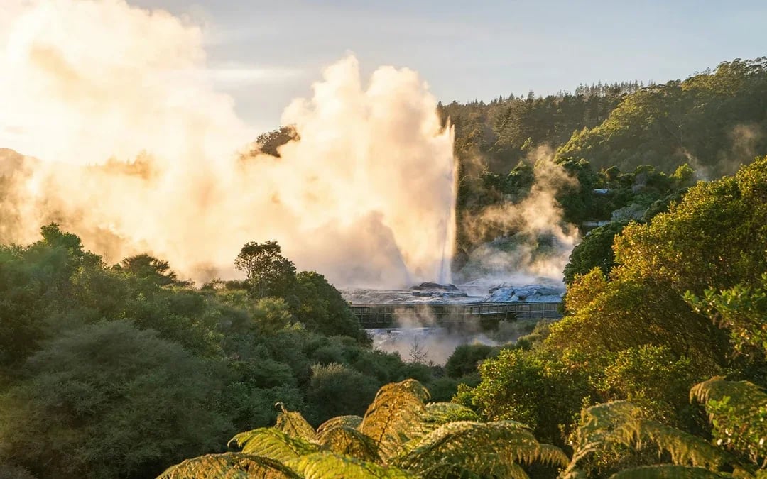 Te Puia: Te Rā Guided Experience Image 3