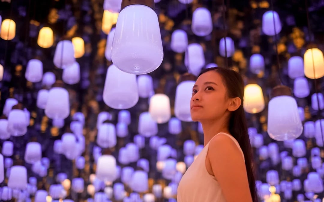 teamLab Biovortex Tickets with Kyoto Guided Tour Image 2