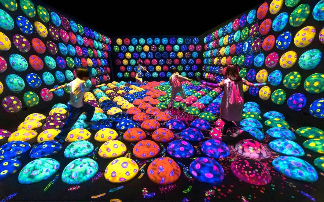 teamLab Biovortex Tickets with Kyoto Guided Tour Image 3