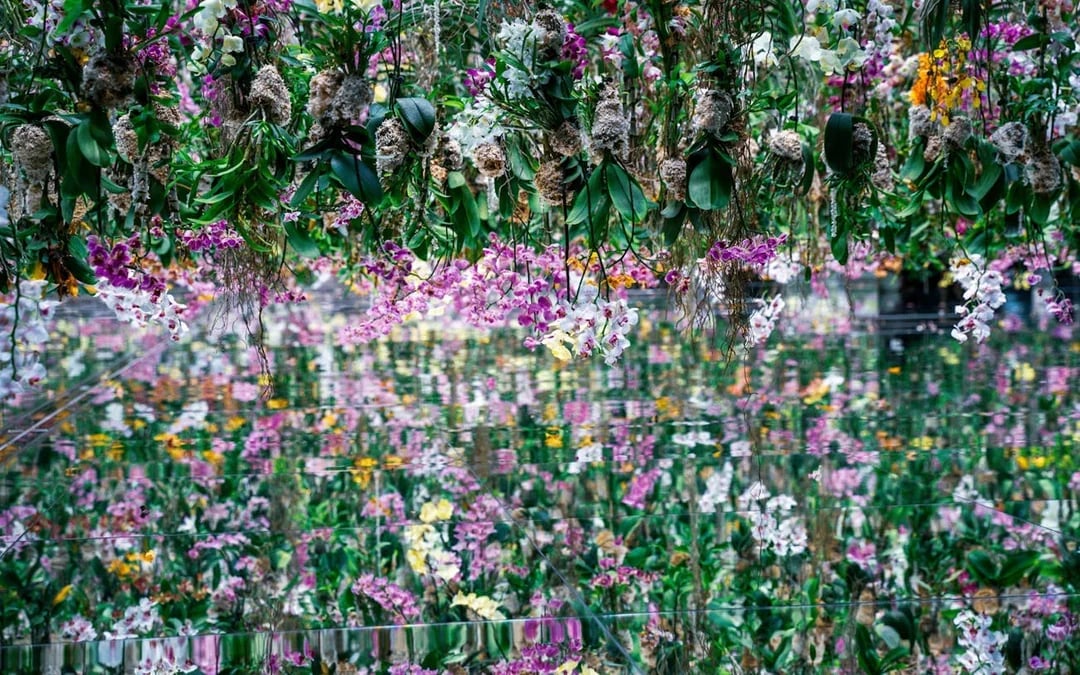teamLab Biovortex Tickets with Kyoto Guided Tour Image 6