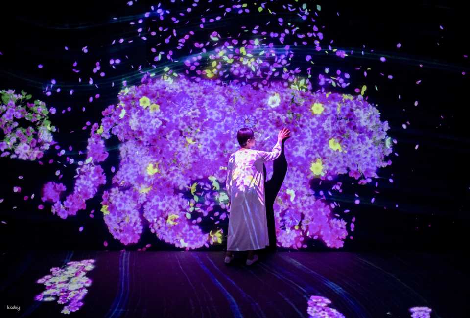 TeamLab Forest Fukuoka Ticket–SBI Securities with Instant Confirmation | Japan