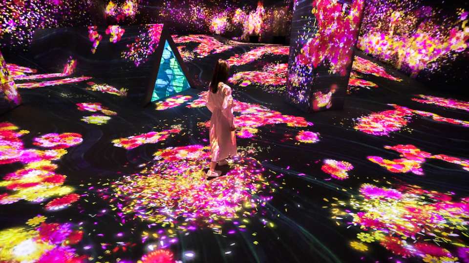 TeamLab Forest Fukuoka Ticket–SBI Securities with Instant Confirmation | Japan