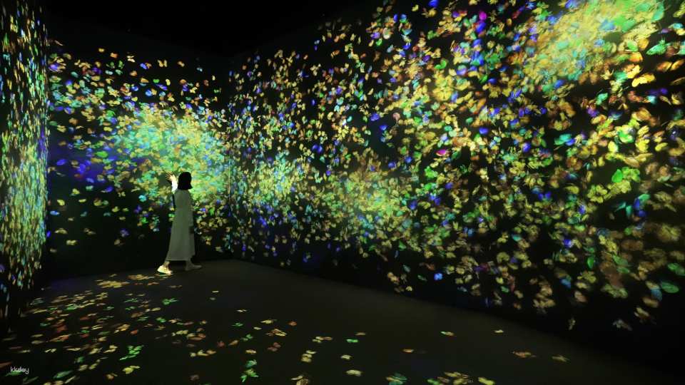 TeamLab Forest Fukuoka Ticket–SBI Securities with Instant Confirmation | Japan