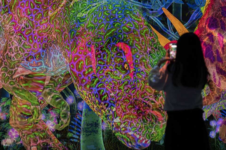 TeamLab Forest Fukuoka Ticket–SBI Securities with Instant Confirmation | Japan