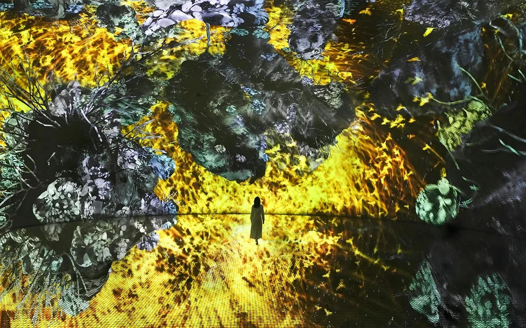 teamLab Phenomena Abu Dhabi Tickets Image 5