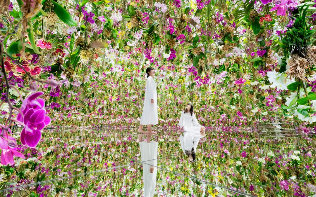 teamLab Planets Skip-the-Line Tickets [Premium Pass] Image 4