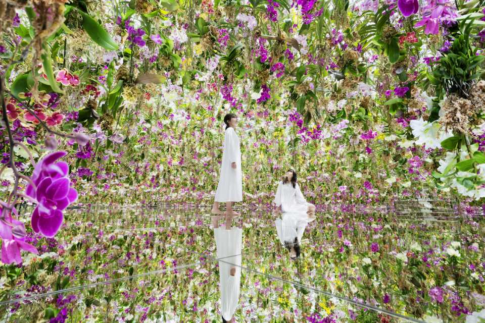 TeamLab Planets TOKYO Ticket