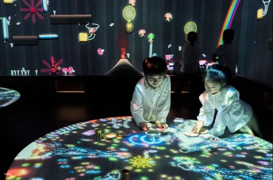 TeamLab Planets TOKYO Ticket
