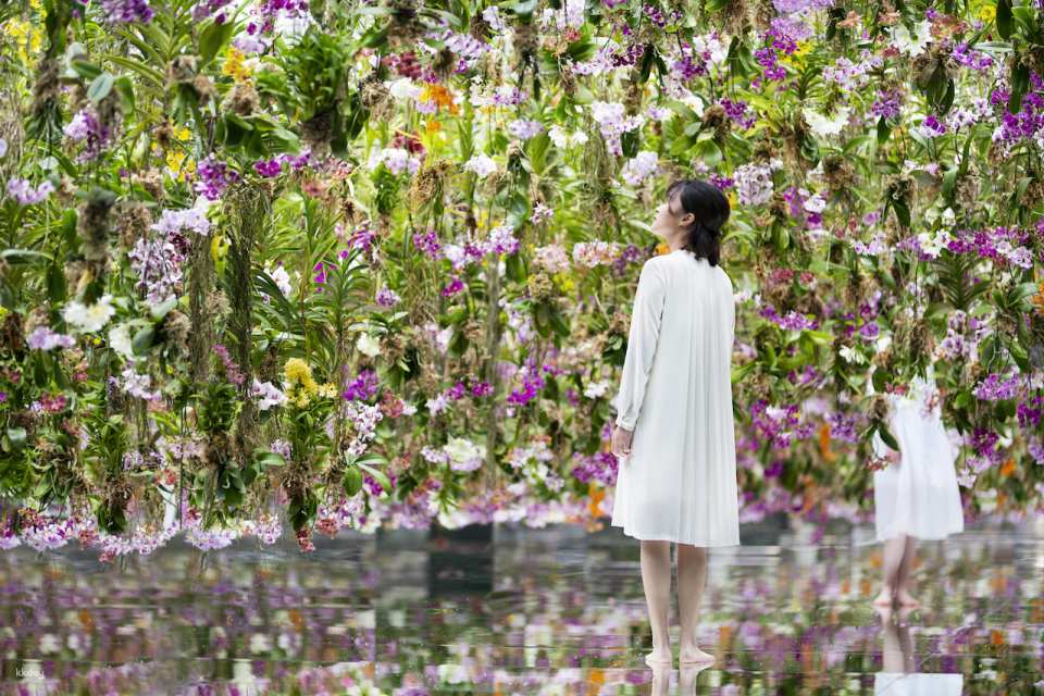 TeamLab Planets TOKYO Ticket
