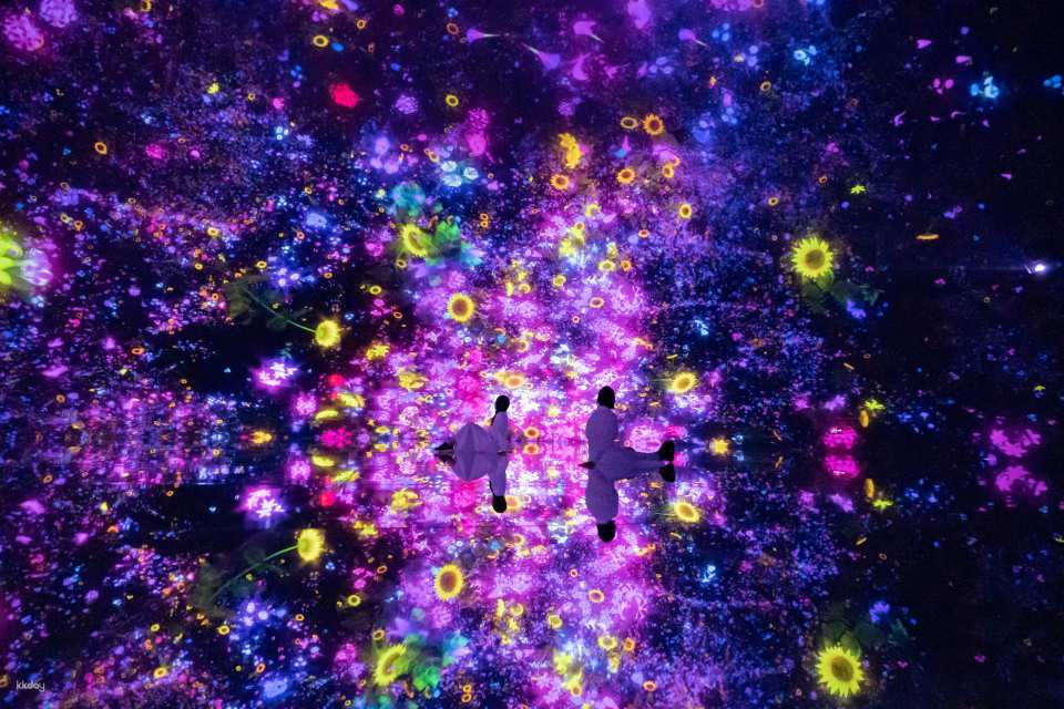 TeamLab Planets TOKYO Ticket