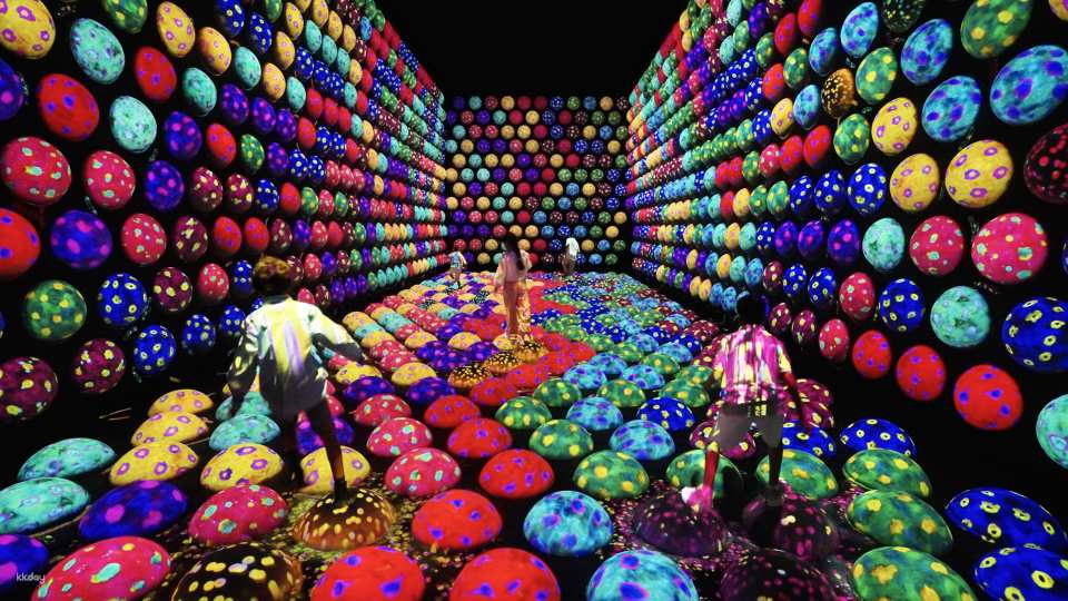 TeamLab Planets TOKYO Ticket