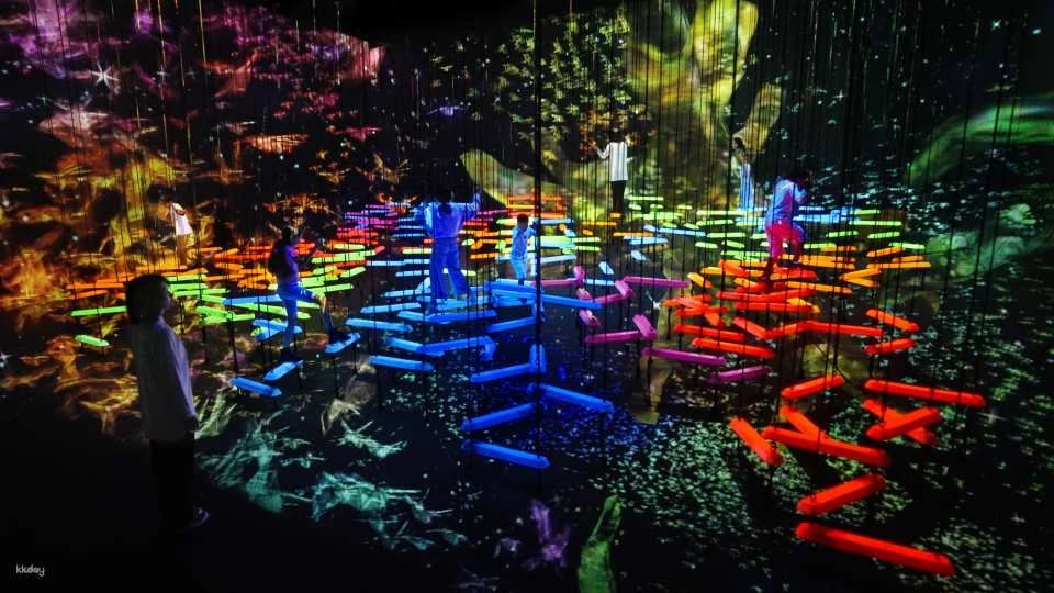 TeamLab Planets TOKYO Ticket